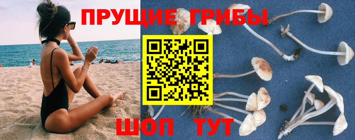 как найти закладки  Галлюциногенные грибы мухоморы  Вход с VPN  Галлюциногенные грибы прущие грибы  Куйбышев 